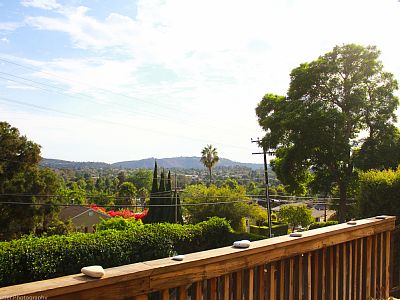 View From Deck