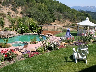 Santa Rosa villa rental - backyard above pool, looking over Open Space