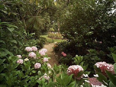 Montecito estate rental - Garden pathways