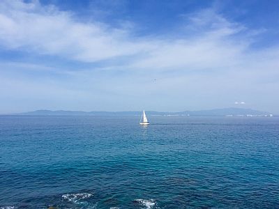 view from balcony while having a cup of coffee