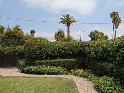 Fenced Backyard Below