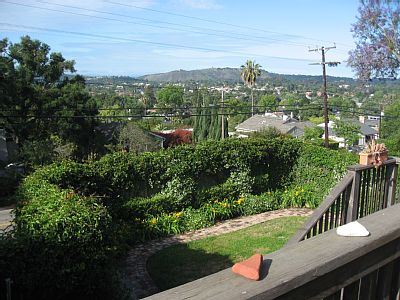 View From Deck